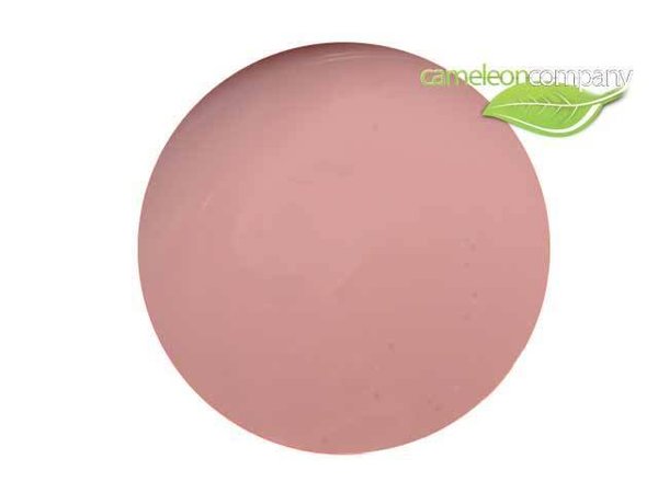 5ml Exklusiv Farbgel  Elegant Alabaster 519