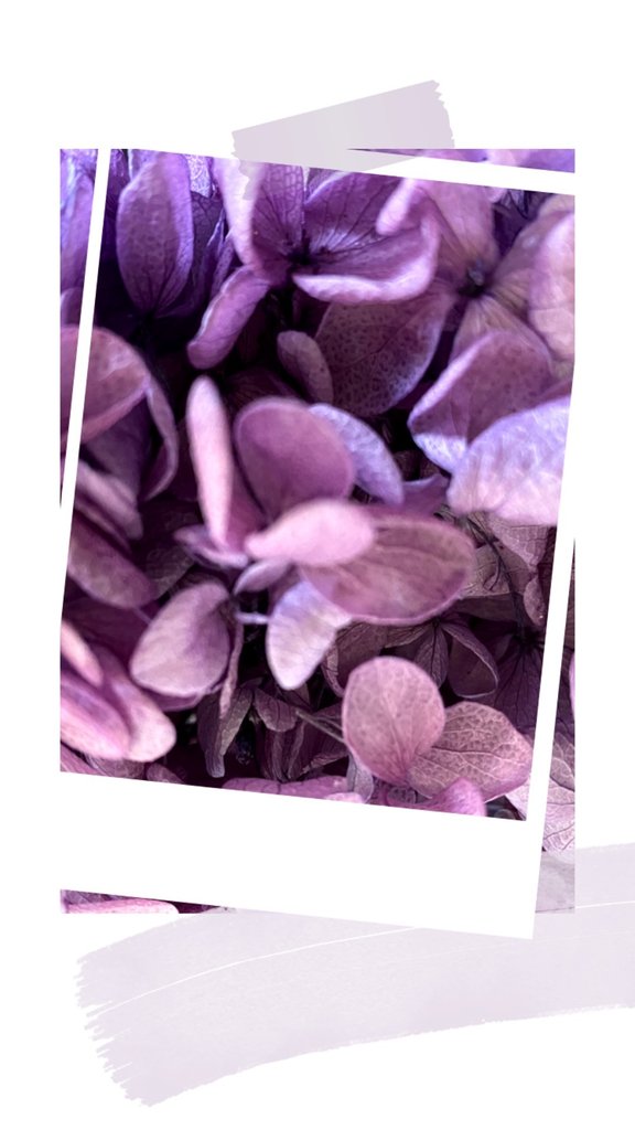 10 Blümchen lila