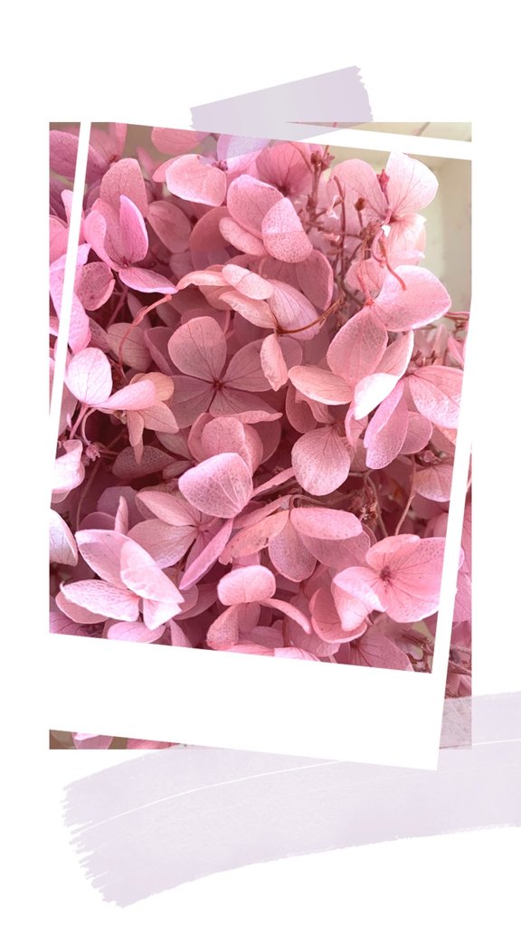 10 Blümchen rosa